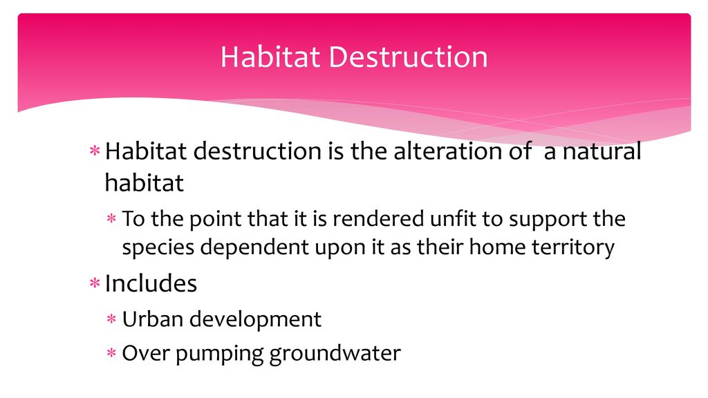 Loss of Habitat Riparian Ecosystems. Biology Diagrams
