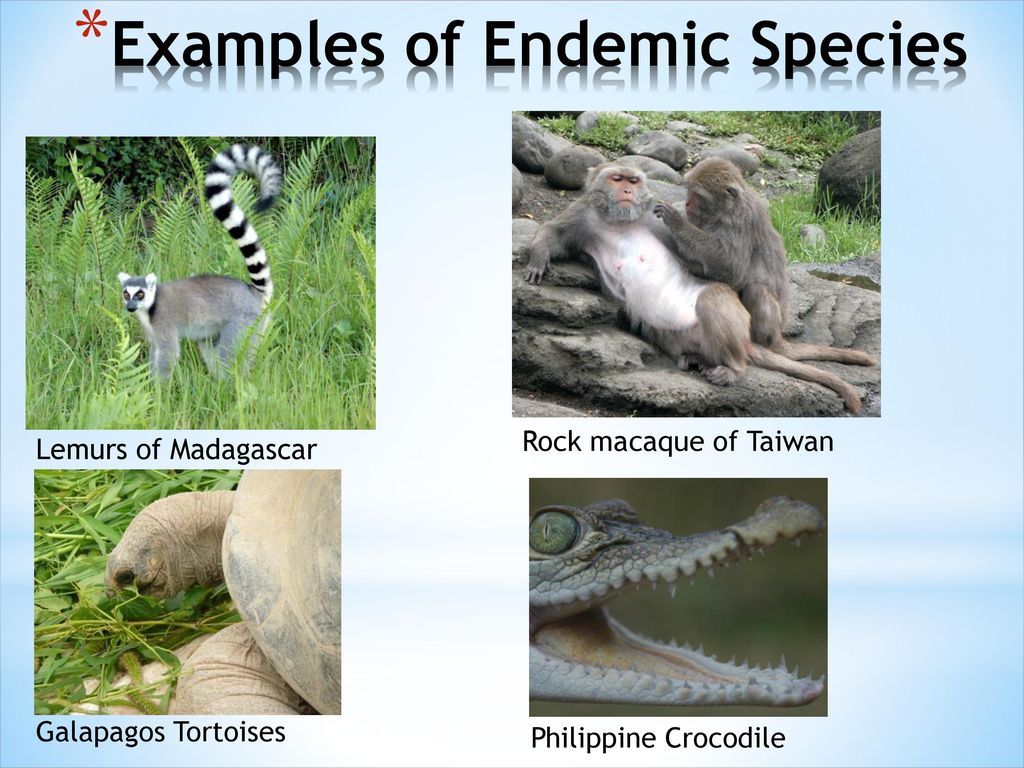 Unit 2: Introduction to Environmental Science - ppt download