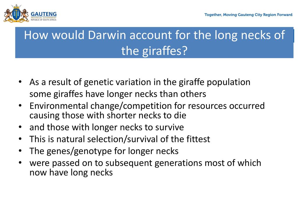 Evolution by Natural selection - ppt download