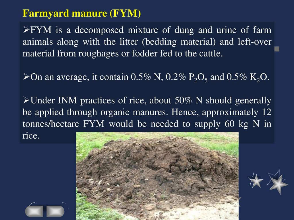 RLO 8 Lesson: Organic manures as a component of INM in rice - ppt download
