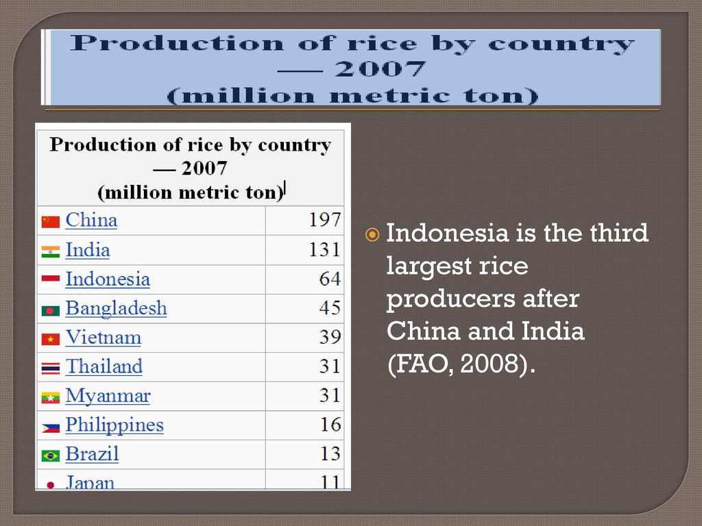Indonesia is the third largest rice producers after China and India