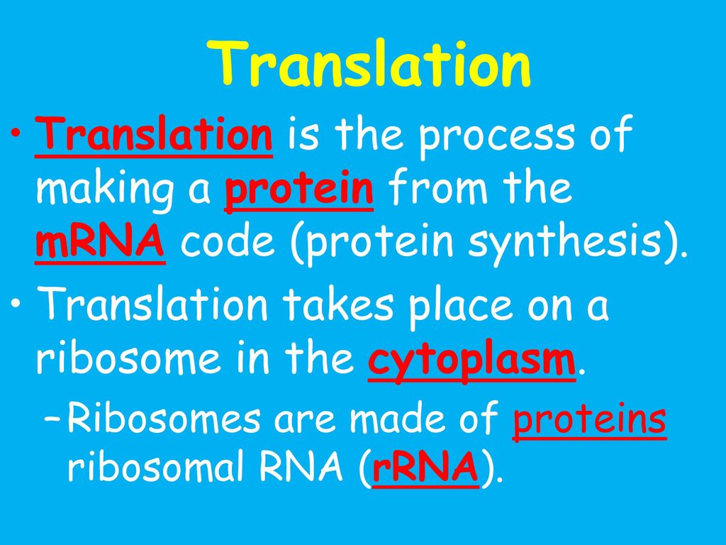 Translation Translation is the process of making a protein from the mRNA code (protein synthesis).