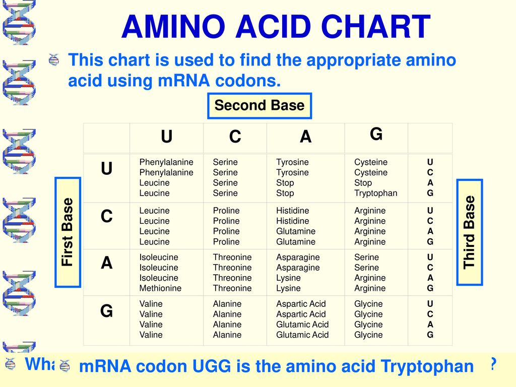 Mrna Amino Acid Chart
