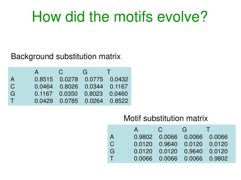 How did the motifs evolve