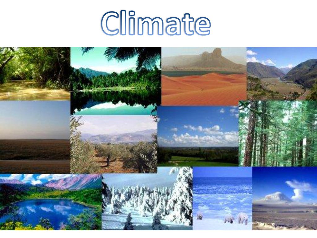 Природно климатическое разнообразие россии. Природный коллаж. Разнообразие климата. Природный климат. Разный климат.