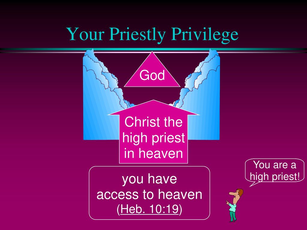 Your Priestly Privilege