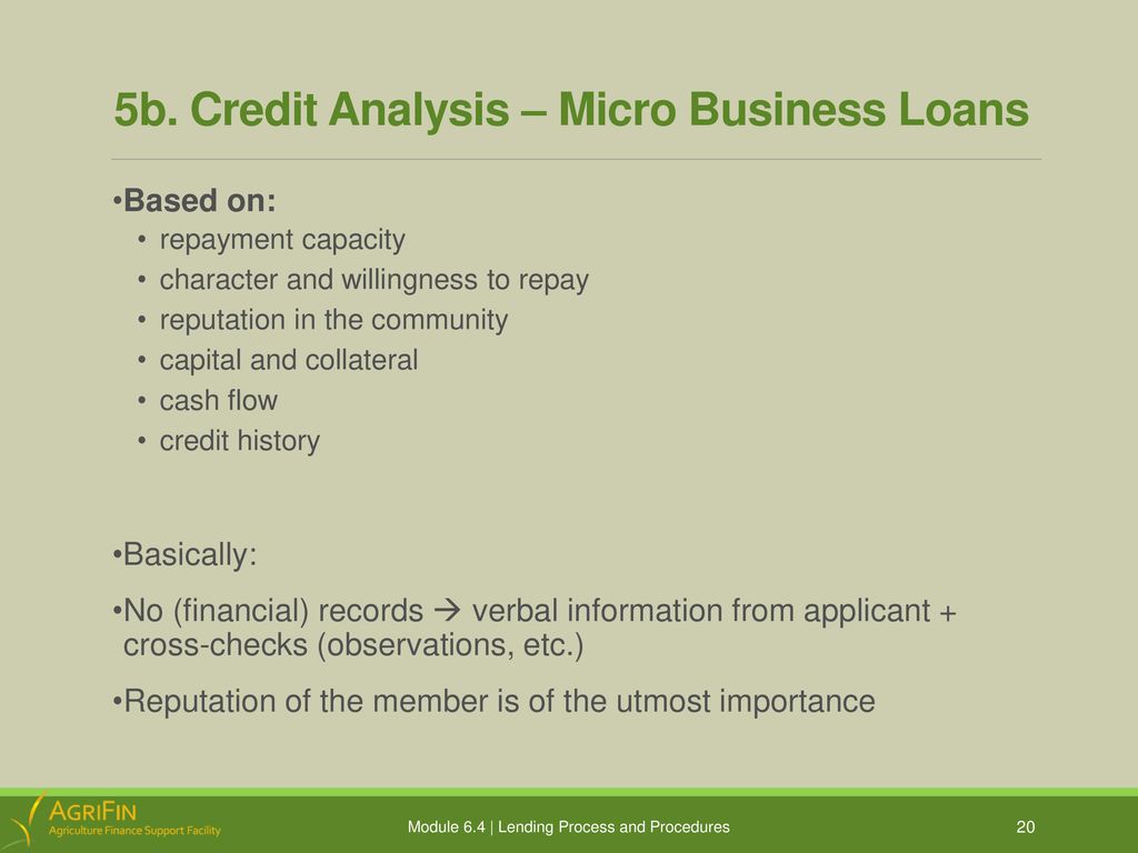 The Basics of Financing Agriculture - ppt download