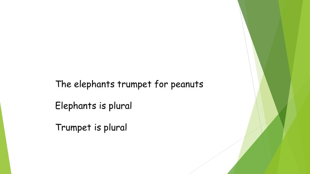 The elephants trumpet for peanuts