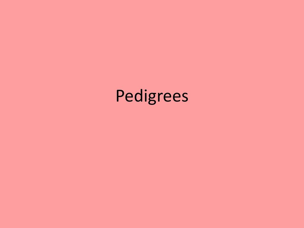 Pedigrees. - ppt download