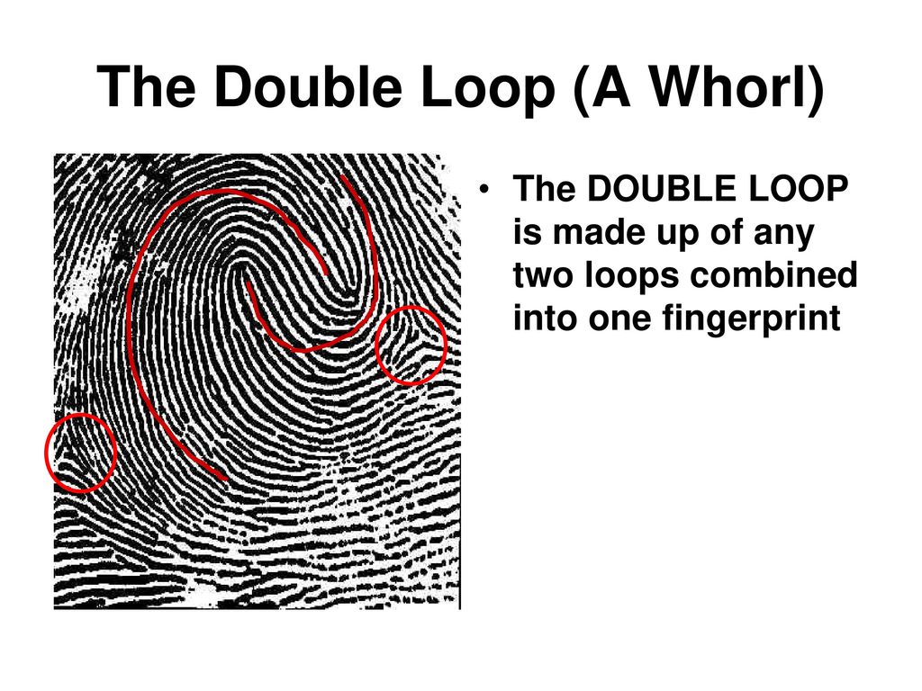 pocket loop fingerprint