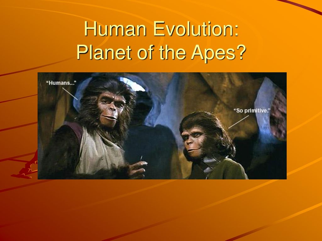 Human Evolution: Planet of the Apes