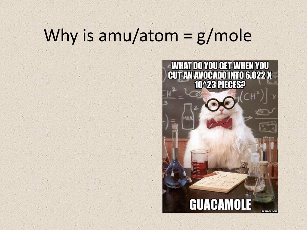 Why is amu/atom = g/mole - ppt download