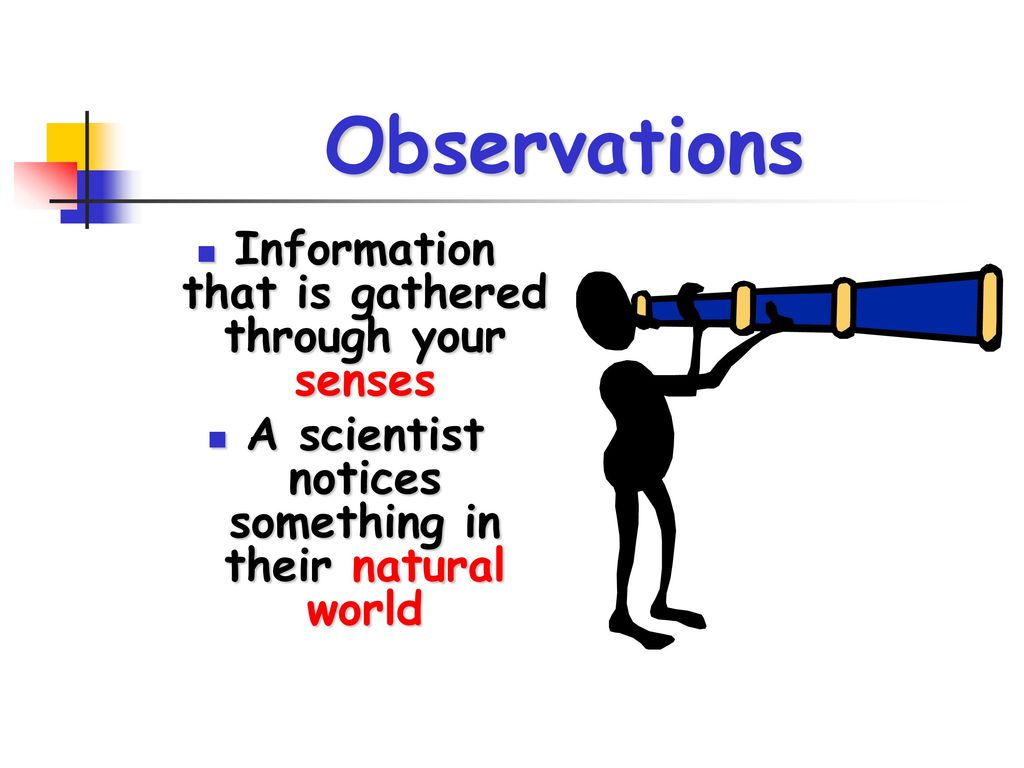 Observations Information that is gathered through your senses