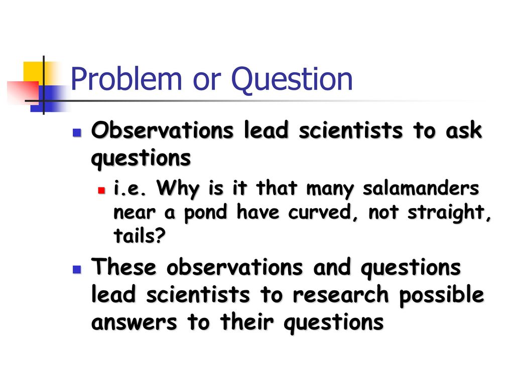 Problem or Question Observations lead scientists to ask questions