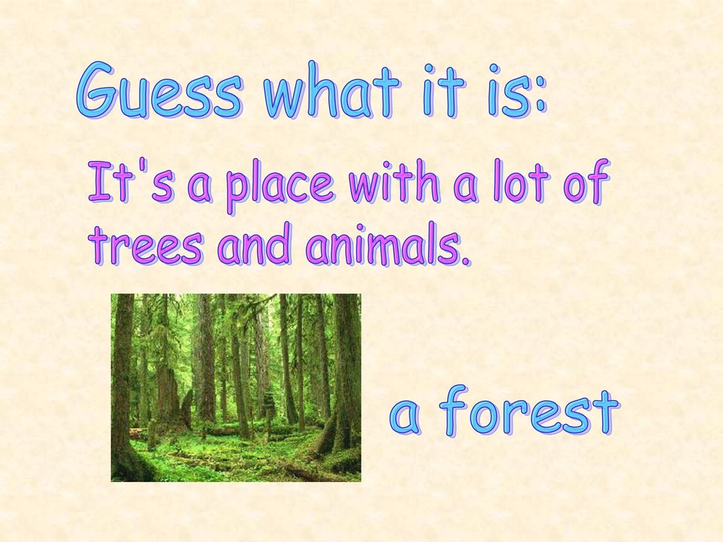 Guess what it is: It s a place with a lot of trees and animals. a forest