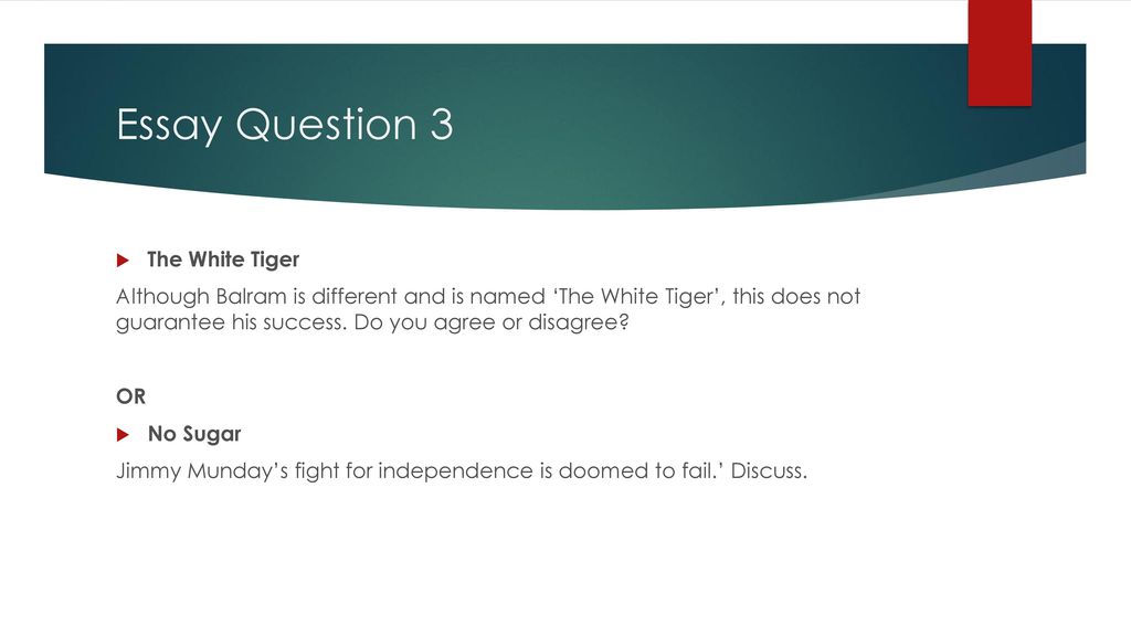 Essay Question 3 The White Tiger