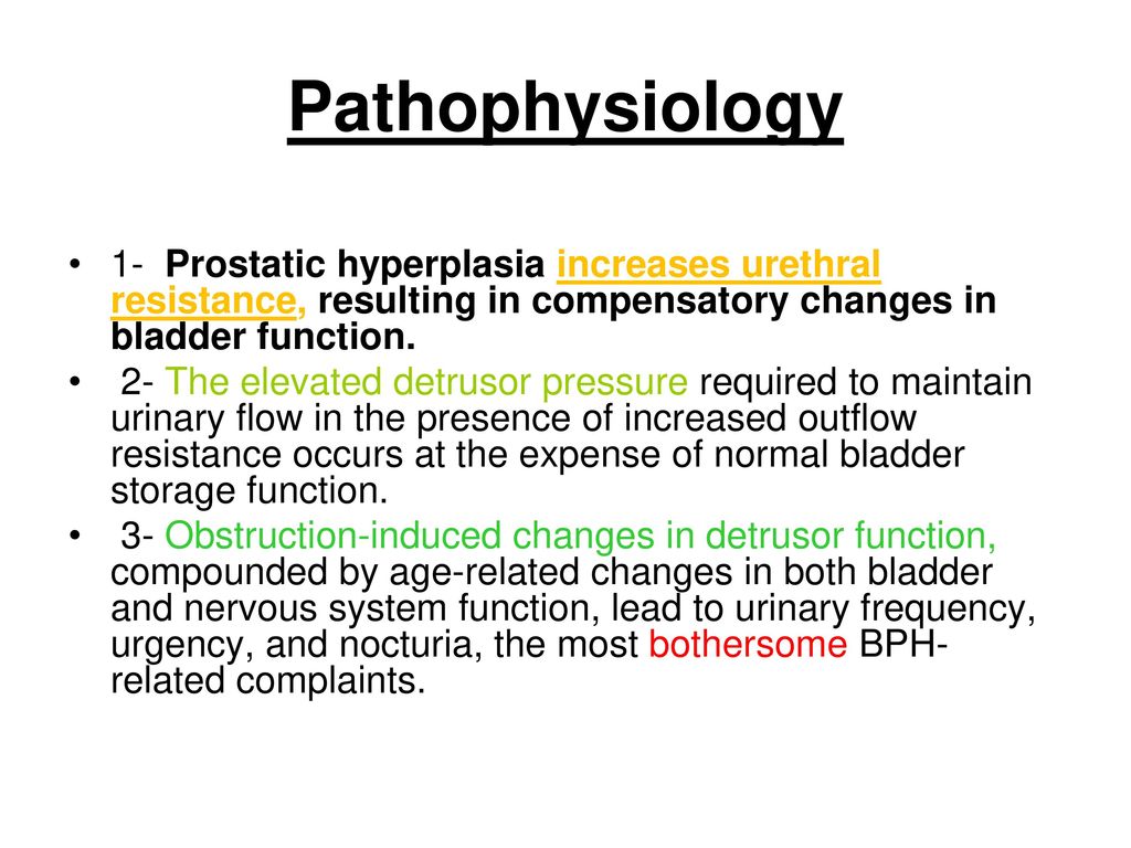 benign prostatic hyperplasia pathophysiology ppt