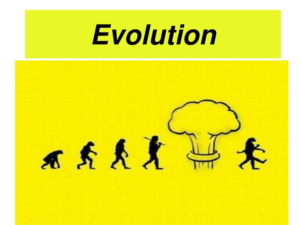 Evolution. - ppt download