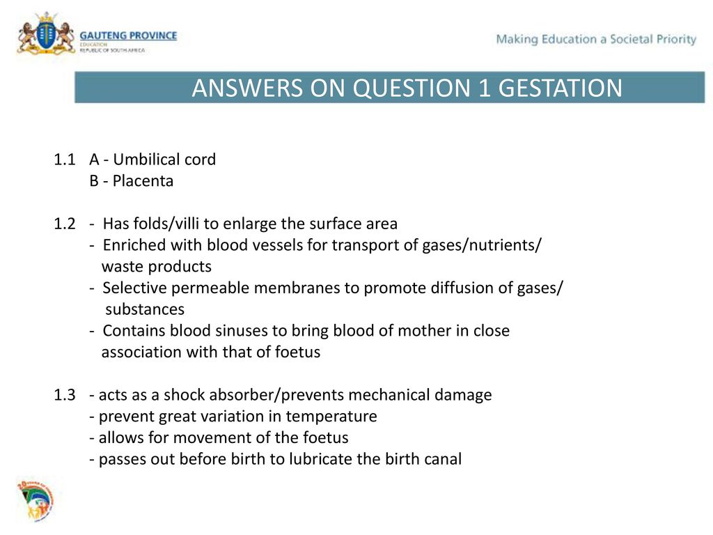 Reproduction strategies in Vertebrates and Human reproduction - ppt