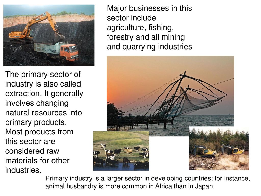 Presentation on SECTORS OF INDUSTRY - ppt download