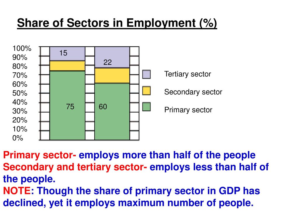 Share of Sectors in Employment (%)