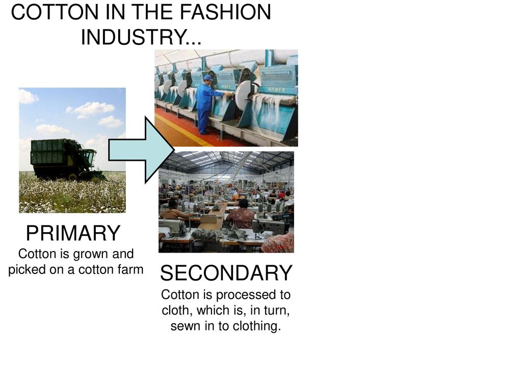 COTTON IN THE FASHION INDUSTRY...