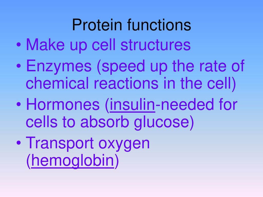 Protein functions Make up cell structures. Enzymes (speed up the rate of chemical reactions in the cell)