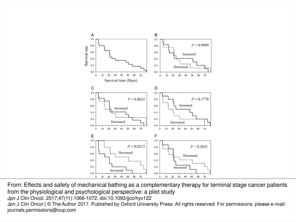 Figure 2. Kaplan–Meier survival analysis in patients