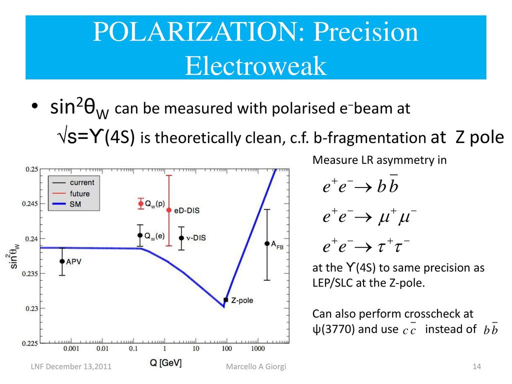 POLARIZATION: Precision Electroweak