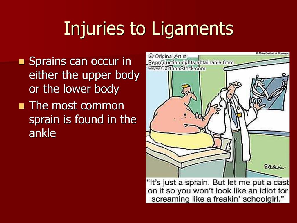 Structures and Injuries Chapter ppt download Biology Diagrams