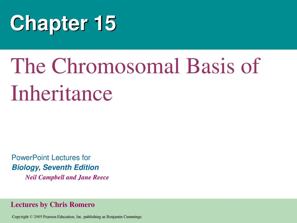 The Chromosomal Basis Of Inheritance - Ppt Download