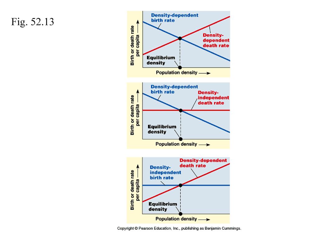 5-growth-in-natural-populations-ppt-download