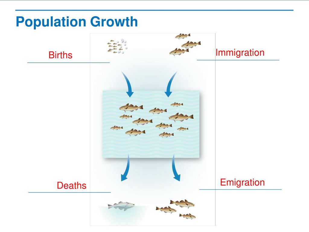 Populations Ppt Download populations-ppt-download