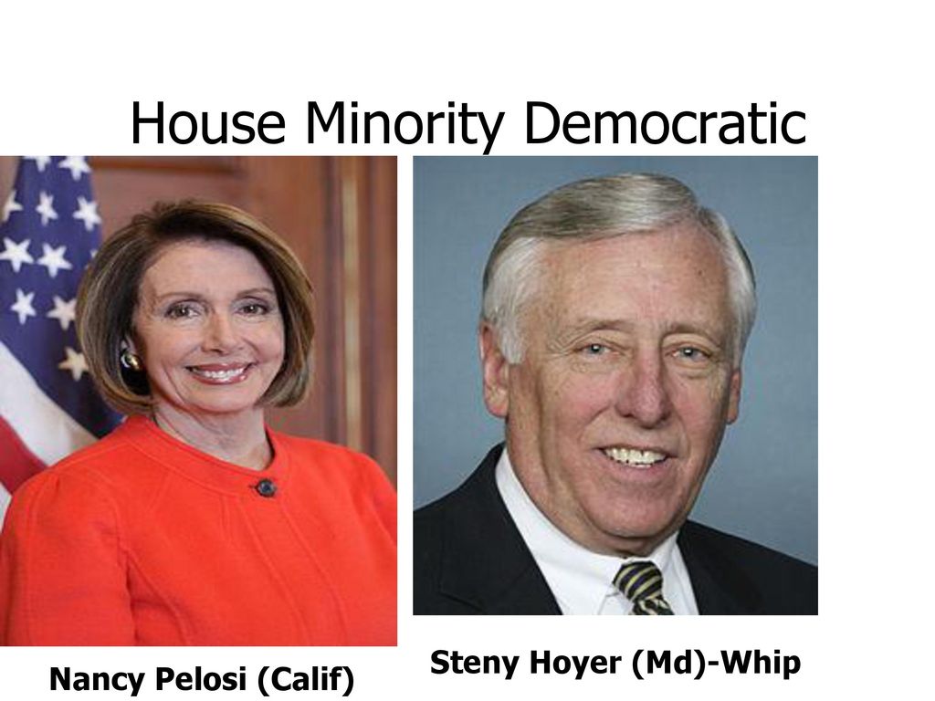 House Minority Democratic
