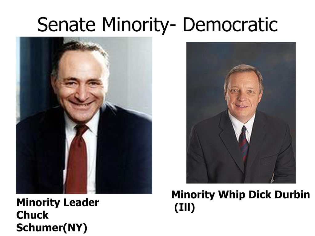 Senate Minority- Democratic