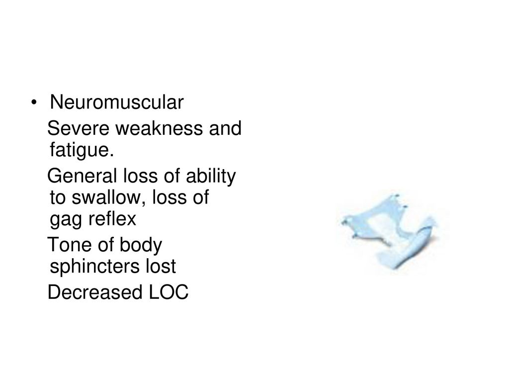 Loss grief death birth loss and death are universal experiences