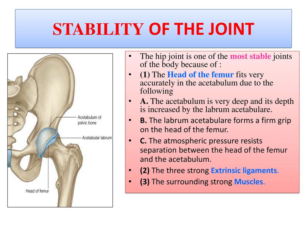 Hip Knee Ankle Joints Dr Jamila El Medany Ppt Download