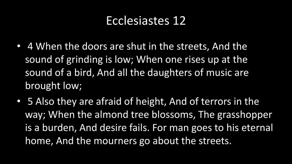 The Argosy . eat doors are closed, and the great church, the solemnaisles,  are left to silence and solitude and repose. And ghosts come iforth, and a  shadowy form at the organ