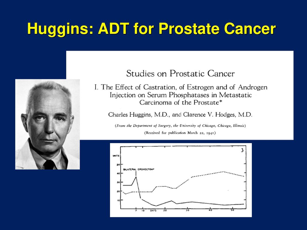 Matthew D. Galsky, MD Director, GU Medical Oncology - ppt download