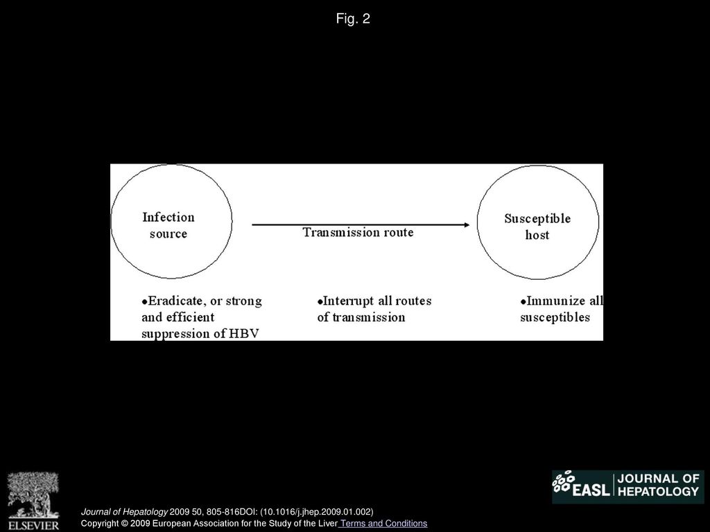 Fig. 2 Components of hepatitis B virus (HBV) infection and the relation to eradication of the infection.