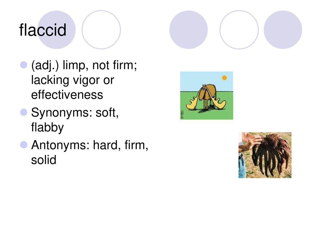 flaccid (adj.) limp, not firm; lacking vigor or effectiveness