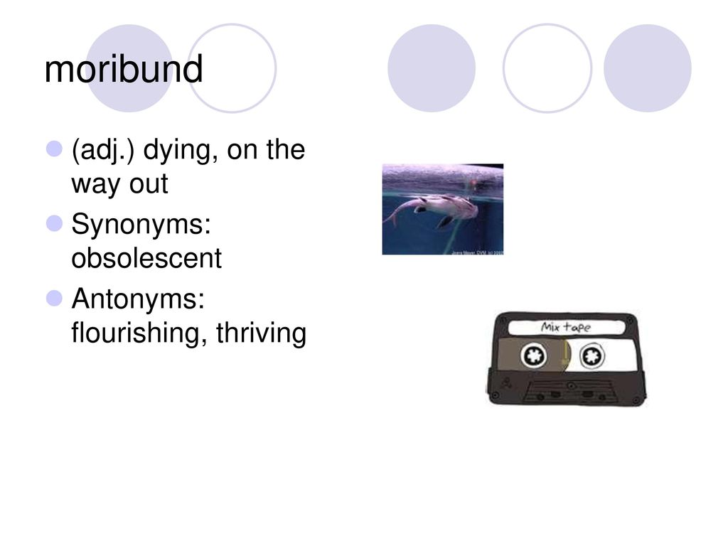 moribund (adj.) dying, on the way out Synonyms: obsolescent