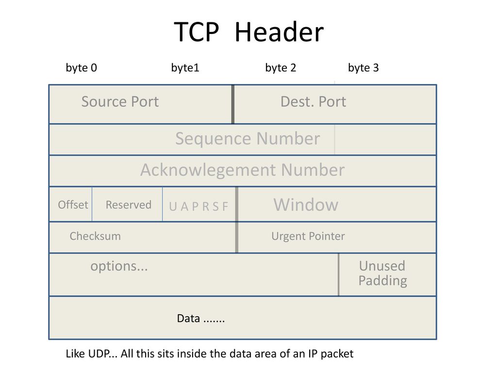 Internet Protocol Formats - ppt download