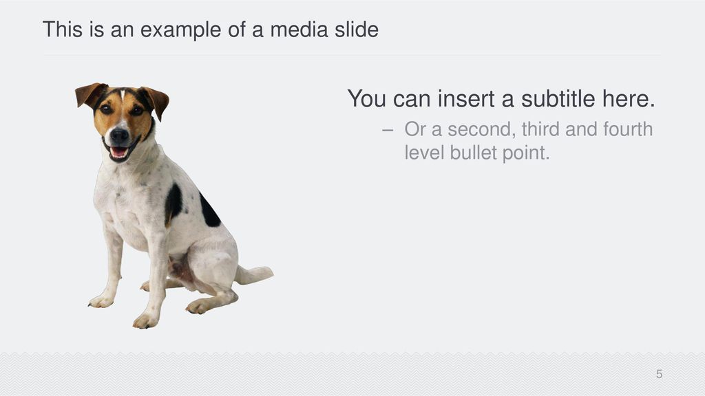 This is an example of a media slide