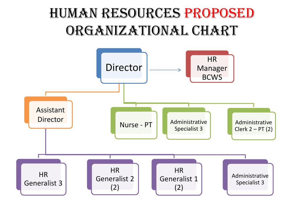 Proposed Organization Chart