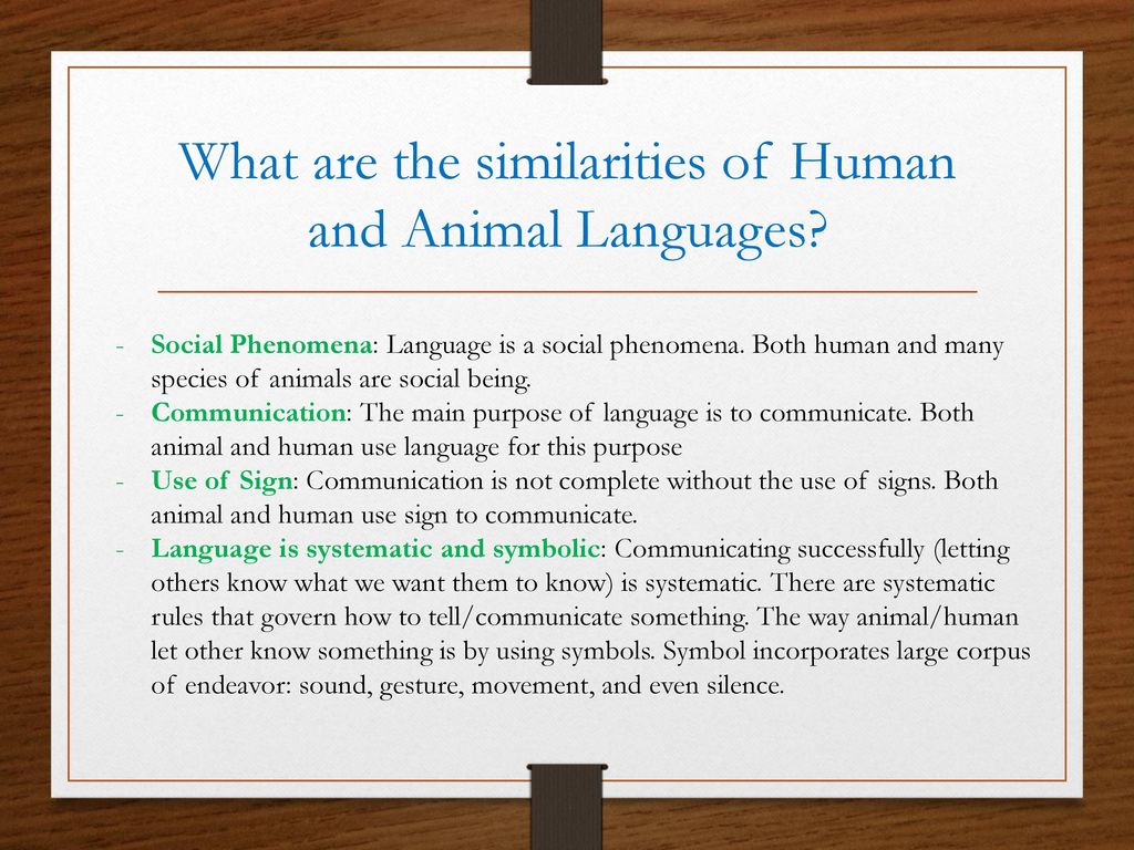 Chapter 2: Animal and Human Language - ppt download