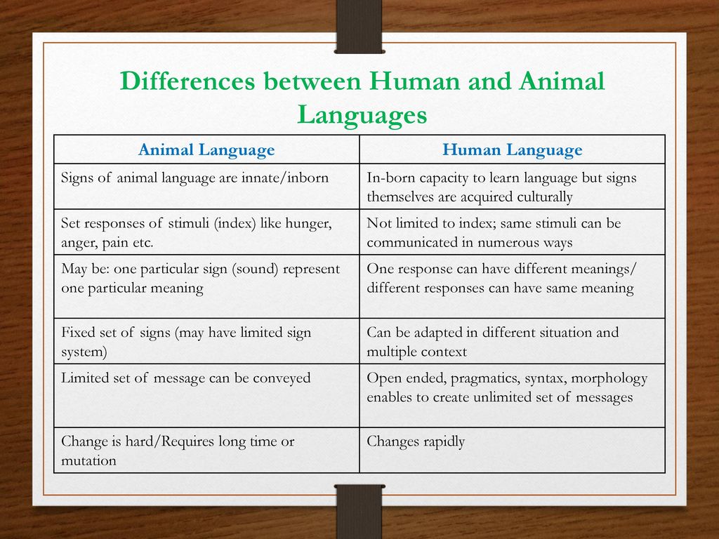 Chapter 2: Animal and Human Language - ppt download