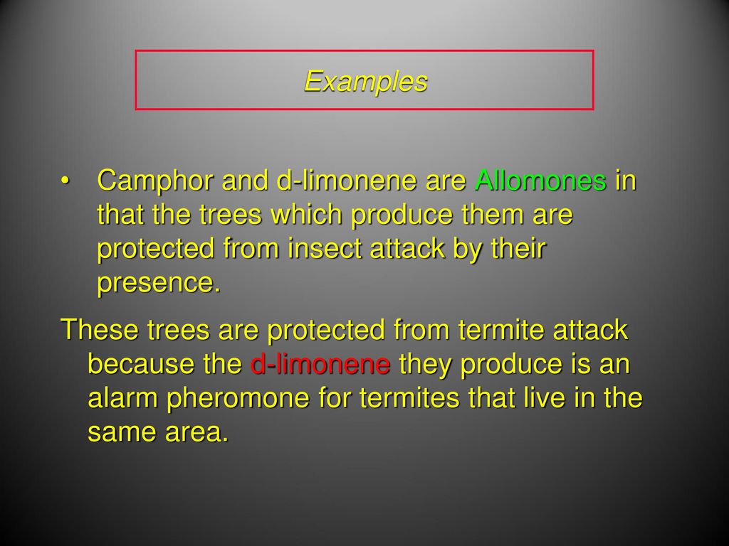 Examples Camphor and d-limonene are Allomones in that the trees which produce them are protected from insect attack by their presence.