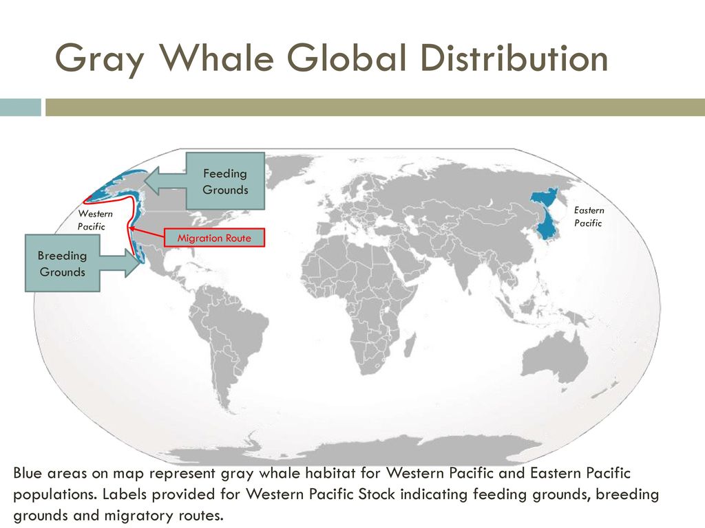 InTeGrate Module Sustaining Our Oceans - ppt download