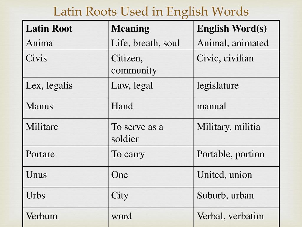 What do this word mean. Latin roots in English. Latin Words in English. Latin and Greek roots. Greek borrowings in English.